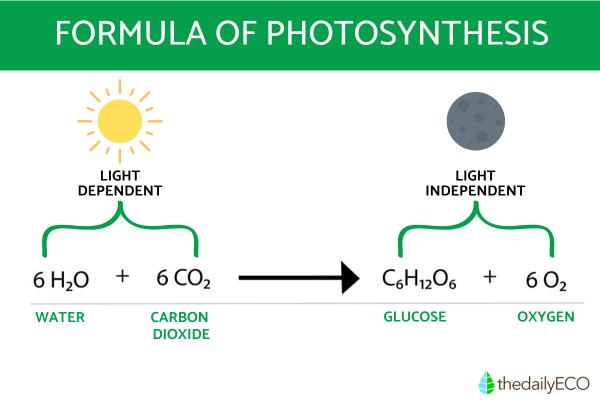 chemical formula for photosynthesis