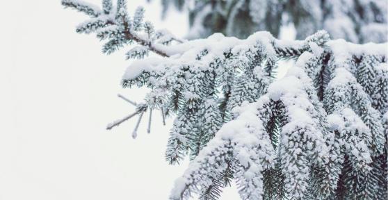 What Are Snow Pellets and How Are They Formed?