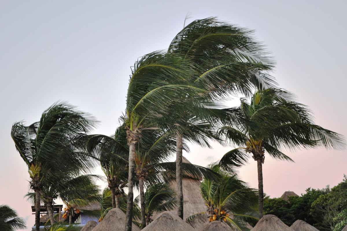 When Is It Considered Strong Wind?
