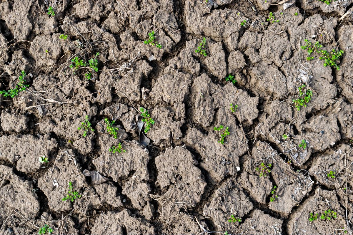 What Is Soil Degradation?
