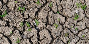 What Is Soil Degradation?