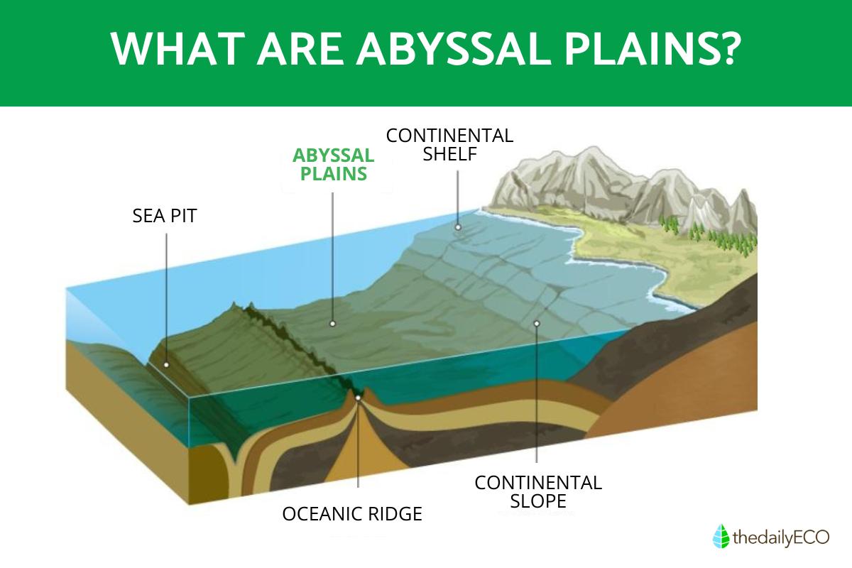 What Are Abyssal Plains?