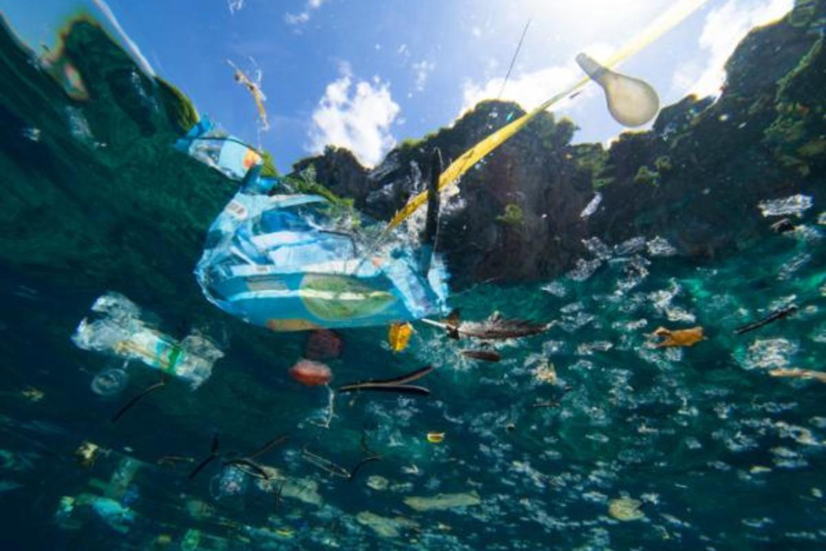 Plastics in the Ocean Causes, Consequences and Solutions