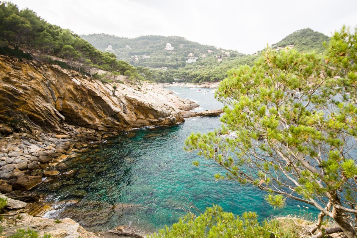 What Is a Coastline in Geography?