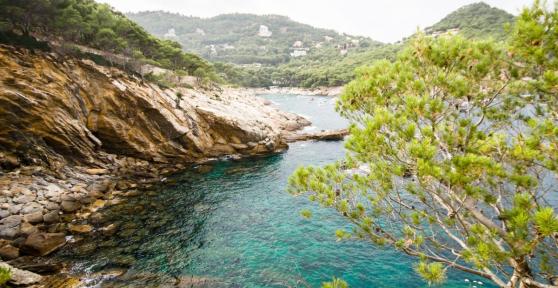 What Is a Coastline in Geography?