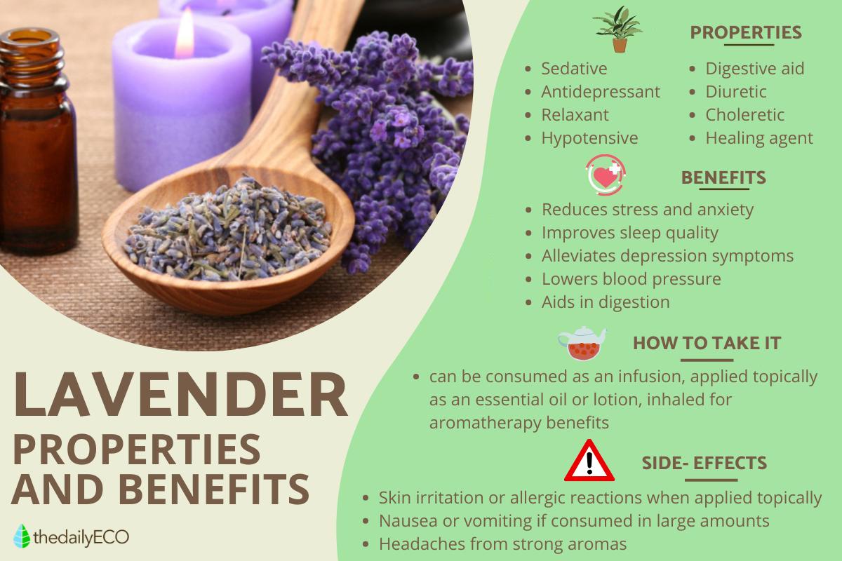 Lavender - Properties, Benefits, and Side Effects
