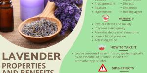 Lavender - Properties, Benefits, and Side Effects