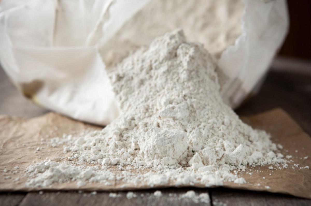 What Is Diatomaceous Earth or Diatomite?