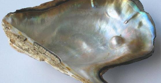 How Are Pearls Formed?