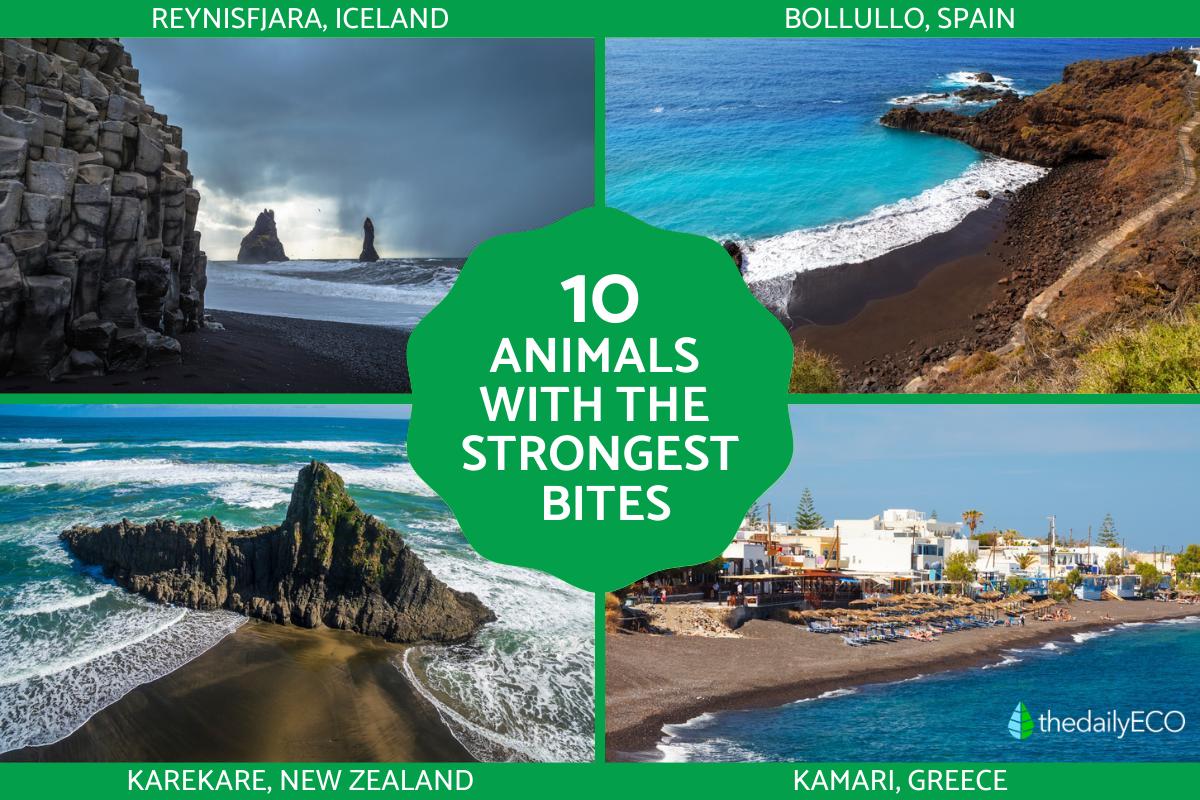 Top Black Sand Beaches Around the World