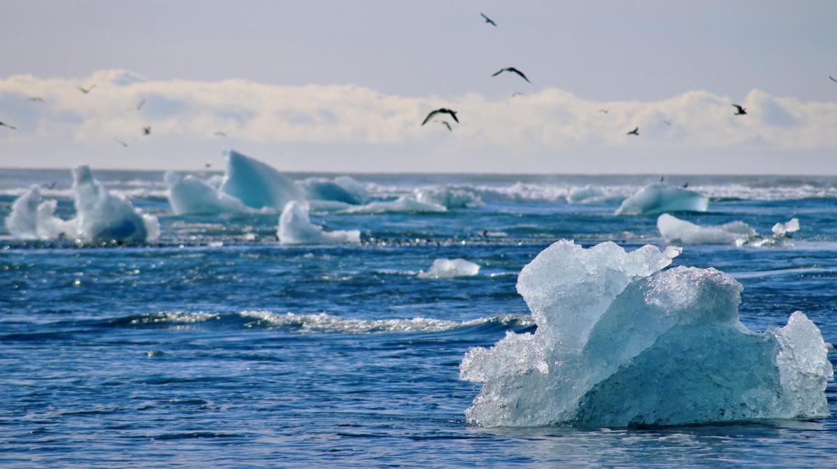Why Does Ice Float on Water?