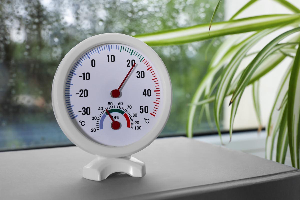 What Does a Hygrometer Measure? - Types and Applications