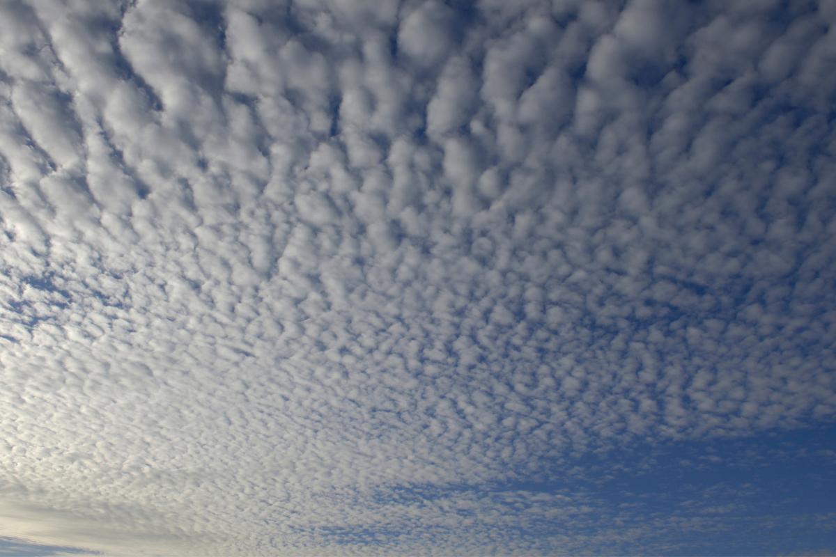 What Are Cirrocumulus Clouds?