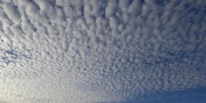 What Are Cirrocumulus Clouds?