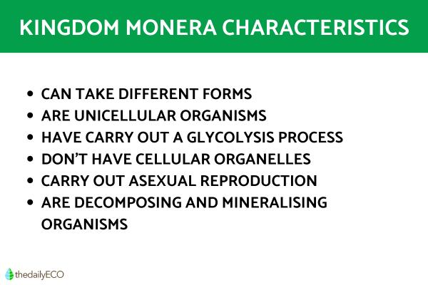 Kingdom Monera Definition and Characteristics in Biology - Kingdom Monera characteristics