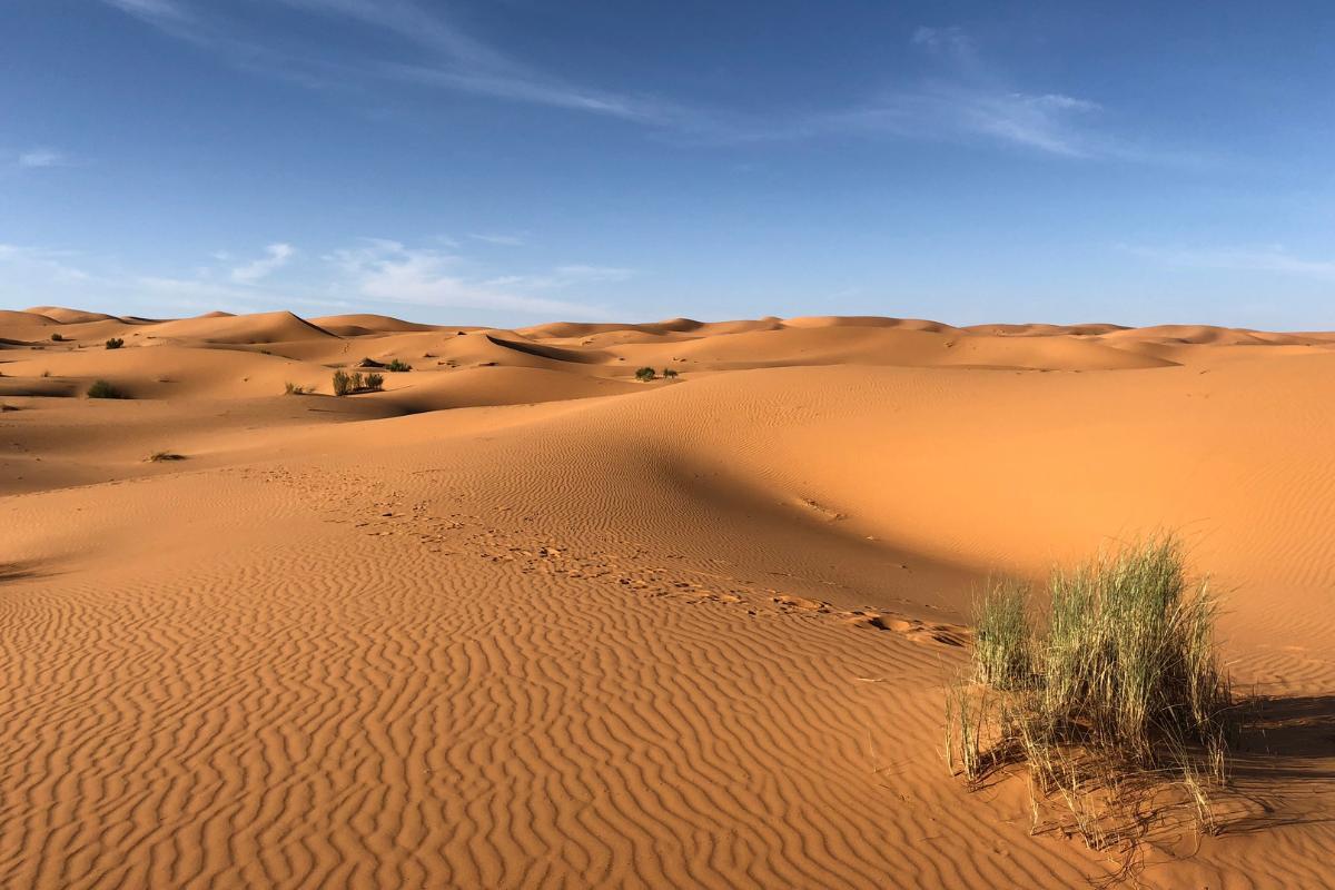What Is the Climate in the Desert Like?