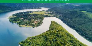 What Is an Ecological Community?