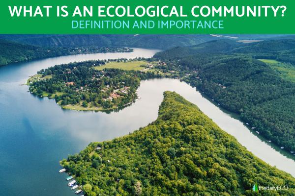 What Is an Ecological Community?