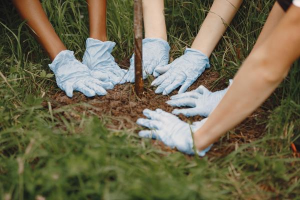 What Is an Ecological Community? - Why are ecological communities important?