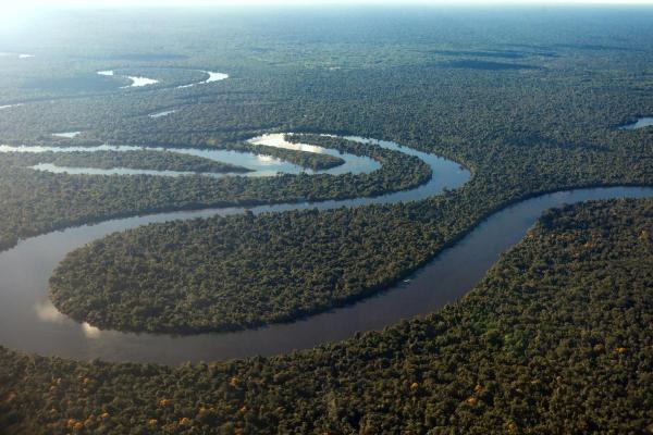 What Are the Longest Rivers in the World? - Amazon River