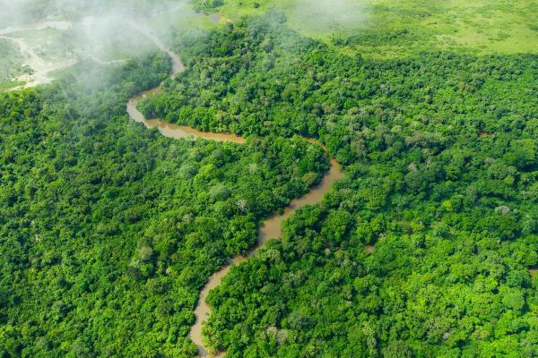 What Are the Longest Rivers in the World? - Congo River