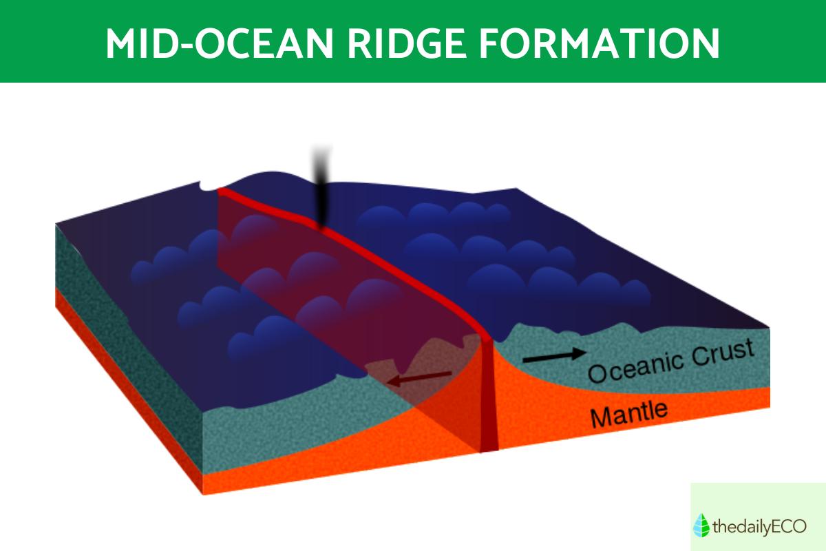 What Is a Mid-Ocean Ridge? - Definition and Characteristics