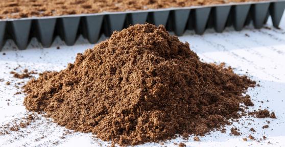 Types of Peat Moss for Plants